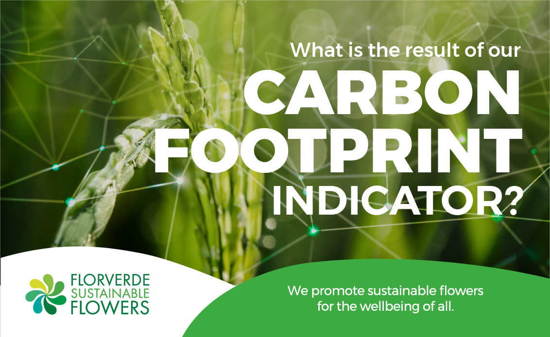 What is the result of our Carbon Footprint indicator?