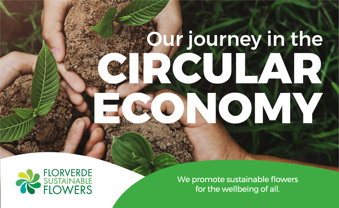 Our journey in the circular economy