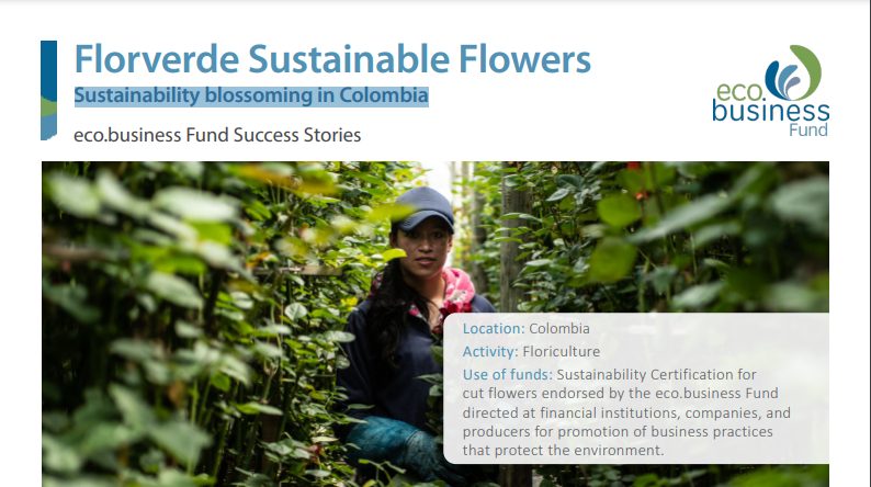 Sustainability blossoming in Colombia- ecobusiness Fund & FSF